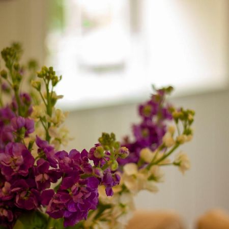 The Potting Shed, 5* Luxury Escape サイレンセスター エクステリア 写真